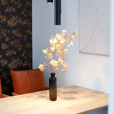 Siebenschlaefer Apartamento